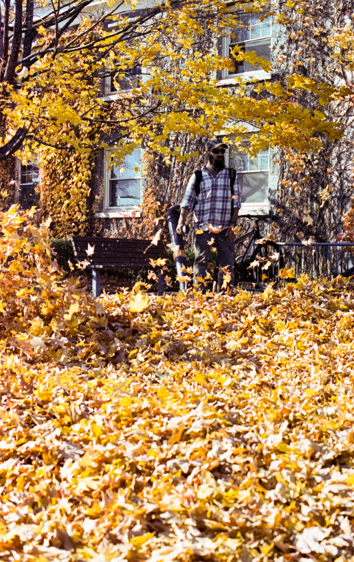 Yard cleanups